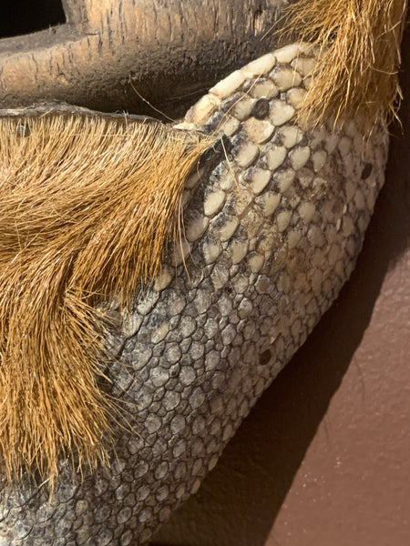 Huave Armadillo Mask